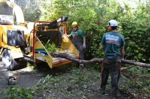 tree services Watseka